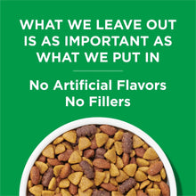 Dry dog food kibble on green background, no artificial flavors, no fillers