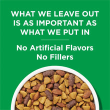 Dog Chow kibble bowl graphic on green panel, no artificial flavors, no fillers