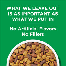 Kibble bowl graphic with claim: No artificial flavors, no fillers