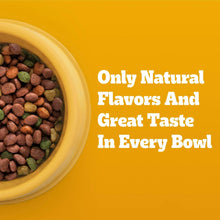 Bowl of dry dog food kibble beside text “Only Natural Flavors And Great Taste”