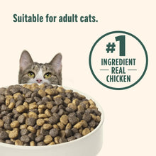 Indoor Complete dry cat food serving bowl with kibble and real chicken badge