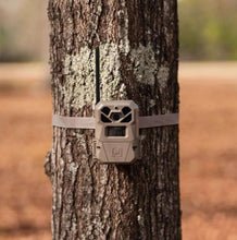 Beige cellular trail camera strapped to a tree trunk, front lens window visible.