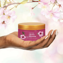 Cherry blossom exfoliating sugar scrub tub in hand, pink jar with orange lid