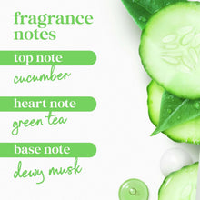 Fragrance notes graphic showing cucumber, green tea, and dewy musk