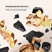 Charcoal and ginger ingredient pieces for Suave Men 3-in-1 shampoo conditioner body wash