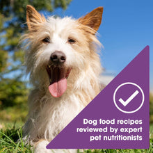Dog portrait with checkmark graphic indicating expert-reviewed dog food recipes.