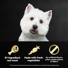 Westie dog with badges for real meat, fresh vegetables, and no artificial flavors or colors