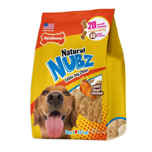 Nylabone Natural NUBZ edible dog chew bag, chicken flavor, 20 small chews, front