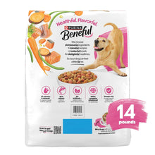 Purina Beneful Originals dry dog food bag back view with 14 lb marking