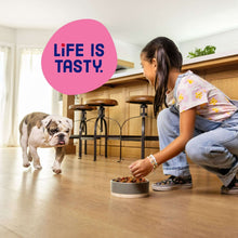 Person pouring dry dog food into a bowl beside a dog