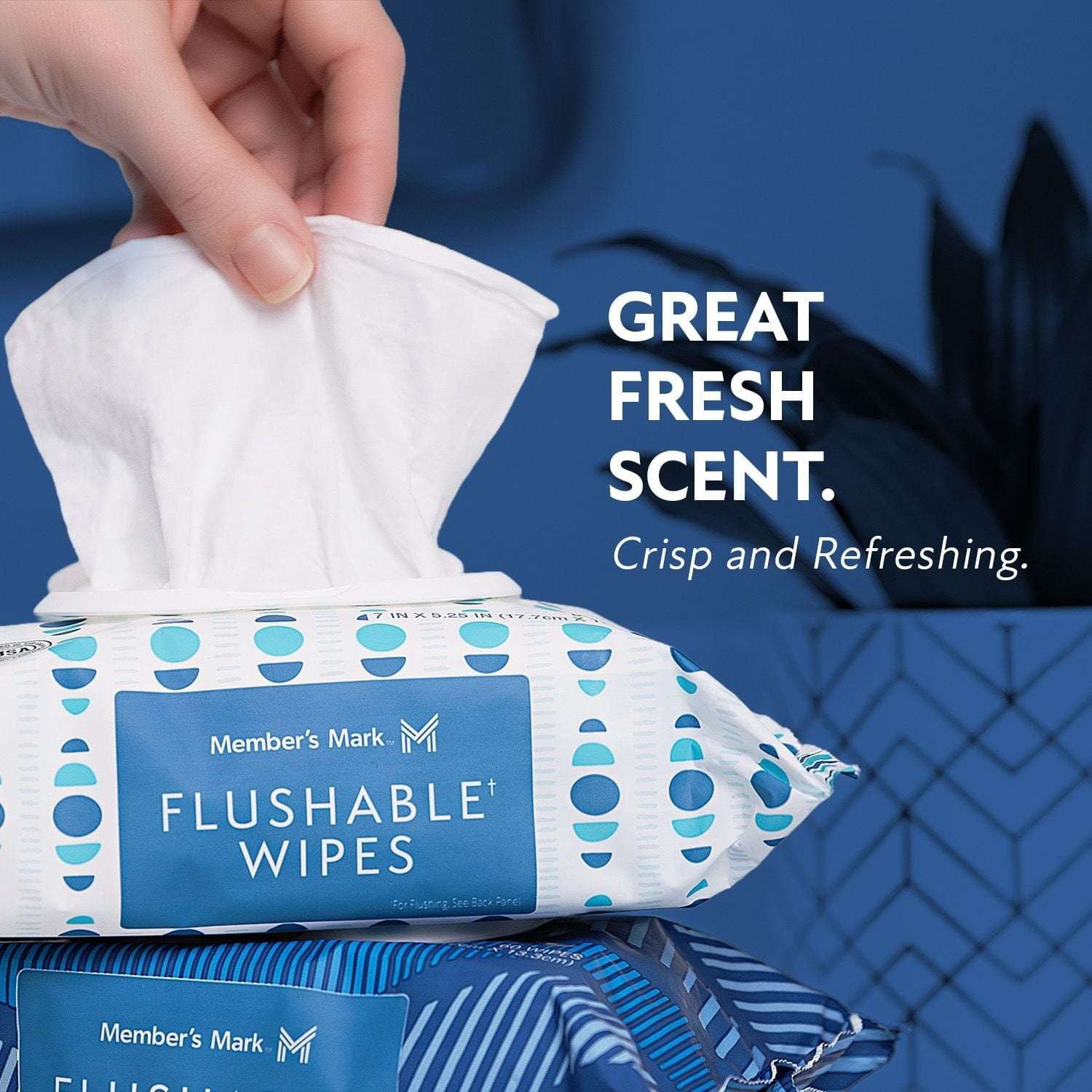 Member's Mark Flushable Wipes, Scented, 540 ct.