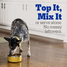 Wet puppy dog food bowl with morsels in sauce, dog eating or serving suggestion