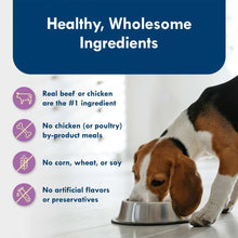 Small dog eating from metal bowl with healthy ingredients icons