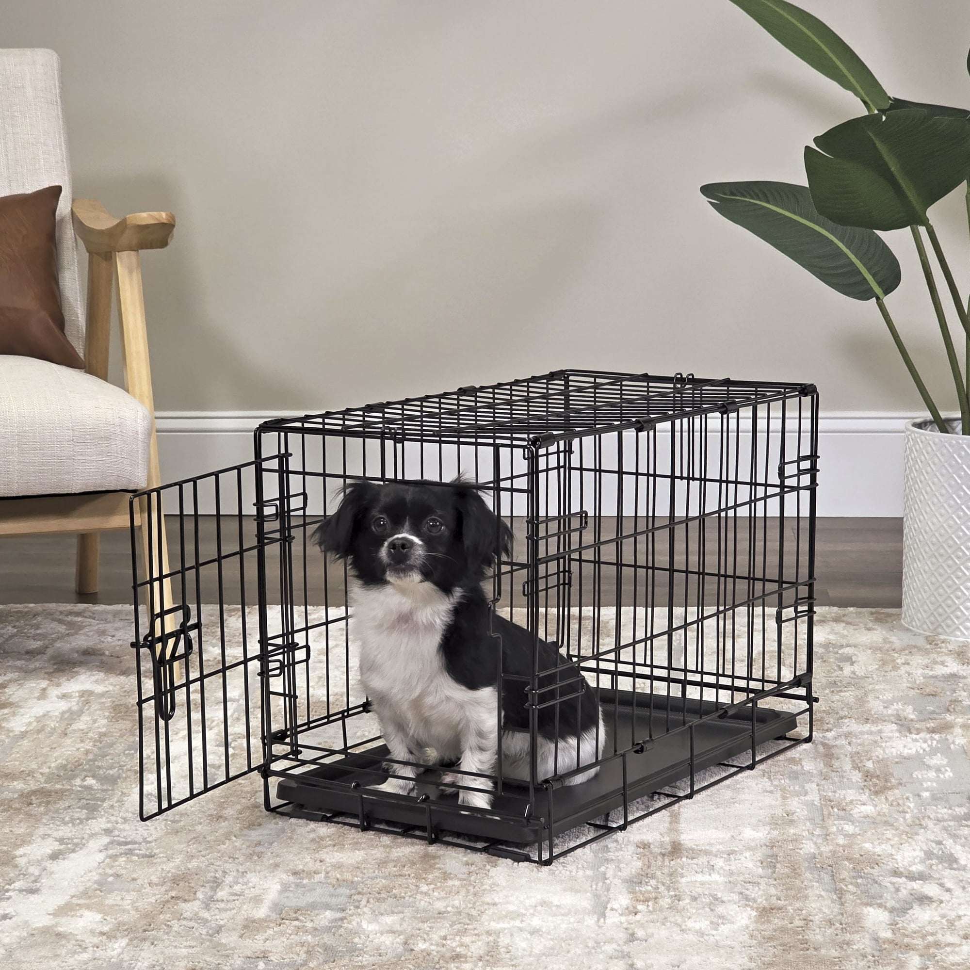 Vibrant Life Foldable 22" Wire Crate for Dogs with Divider and Leak-Proof Tray