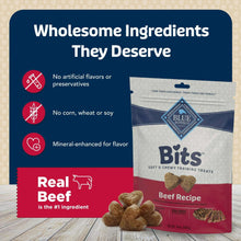 Beef dog training treat pouch with wholesome ingredients and real beef badge