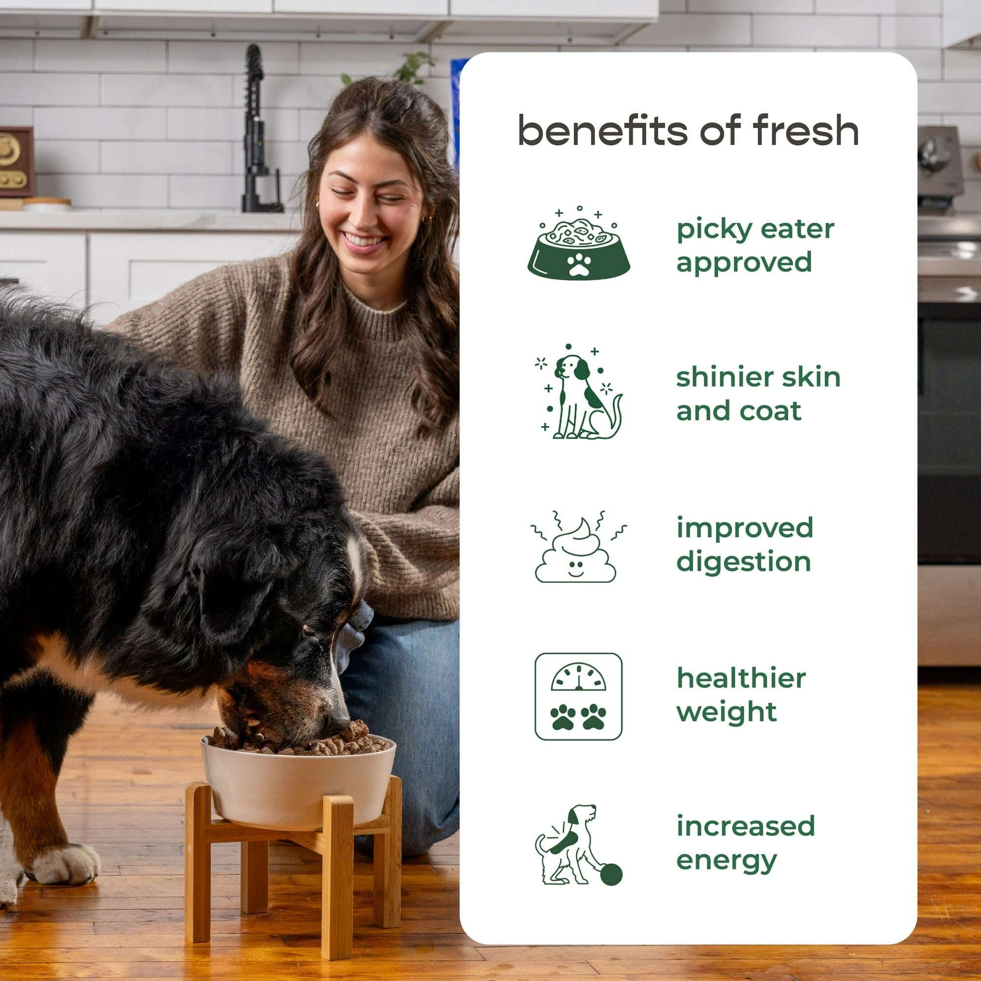 Freshpet Fresh Dog Food, Large Dog Multi-Protein: Chicken, Beef, Egg & Salmon Recipe, 5 lb.