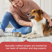 Dry dog food bowl beside a dog and person, shown with recipe serving