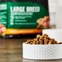 Kibble in a white bowl with a green and black dry dog food bag in background