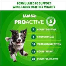 IAMS Proactive Health Proactive 5 minichunks bag front graphic with dog and benefit list