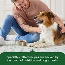 Adult dog eating kibble from a metal bowl while a person pets it