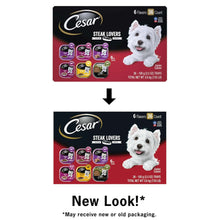 Cesar Steak Lovers wet dog food variety pack box, 6 flavors, 36 count