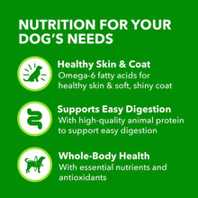 IAMS Proactive Health wet dog food nutrition icons for healthy skin and digestion