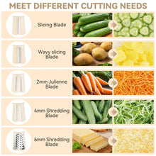 Rotary cheese grater blade set for slicing and shredding vegetables and cheese