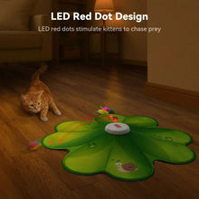 Green LED cat toy mat with red-dot chase points and feather wand