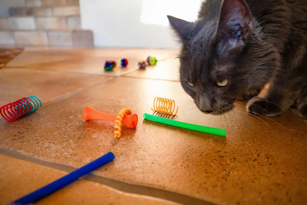 Vibrant Life 24 Piece Value Pack Cat Toys - USA MEGA SHOP