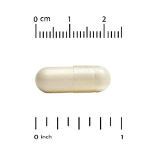 Light-colored veggie vitamin C capsule with size scale