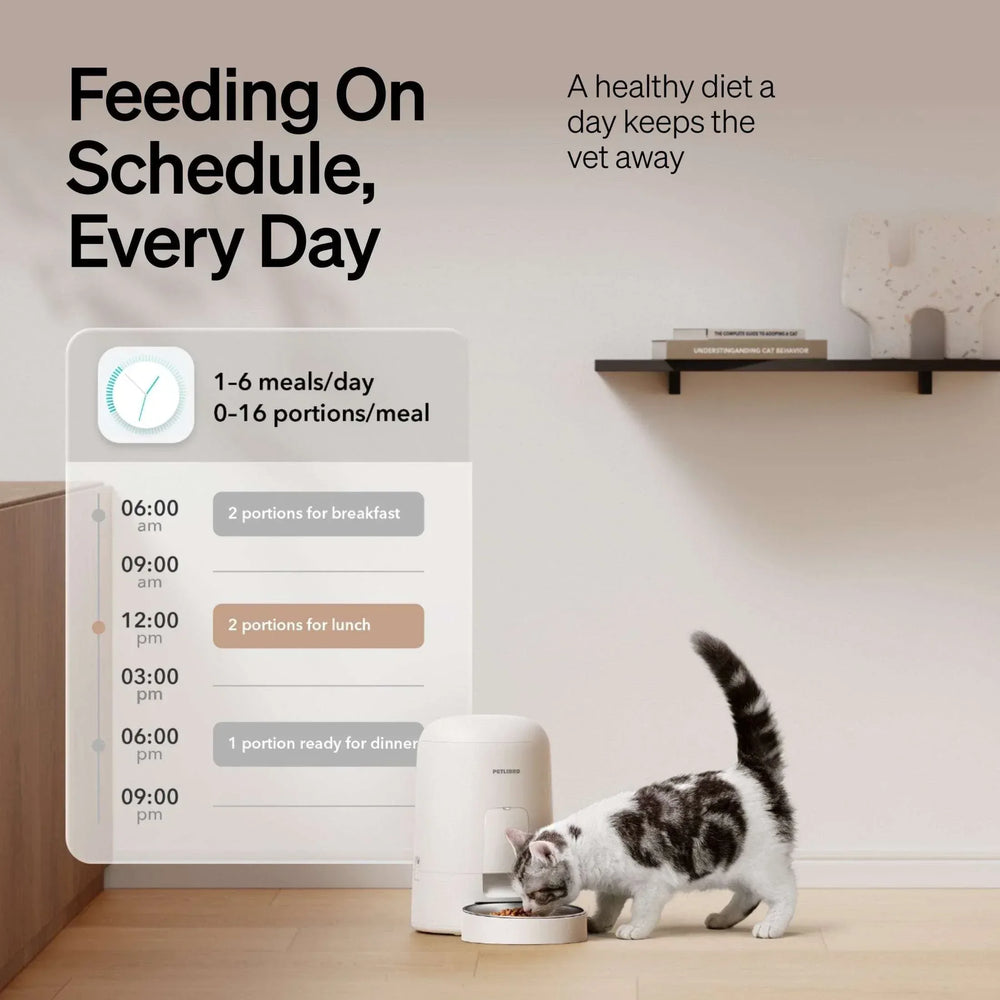 Petlibro 2L Air Automatic Cat Feeder, Battery-Operated Food Dispenser with 180-Day Battery Life, AIR Timed Feeder for Cats & Dogs, White - USA MEGA SHOP