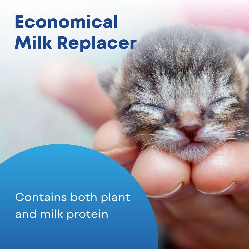 PetAg Milk Replacer Plus Liquid for Cats and Kittens, 32 fl oz - USA MEGA SHOP