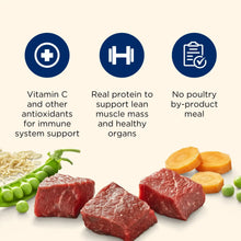 Dog food ingredients graphic with beef chunks, peas, carrots, and whole grains