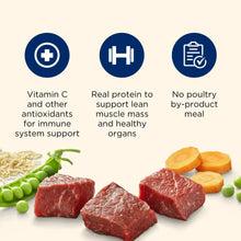 Dry dog food ingredient graphic with real beef cubes, peas, and carrots