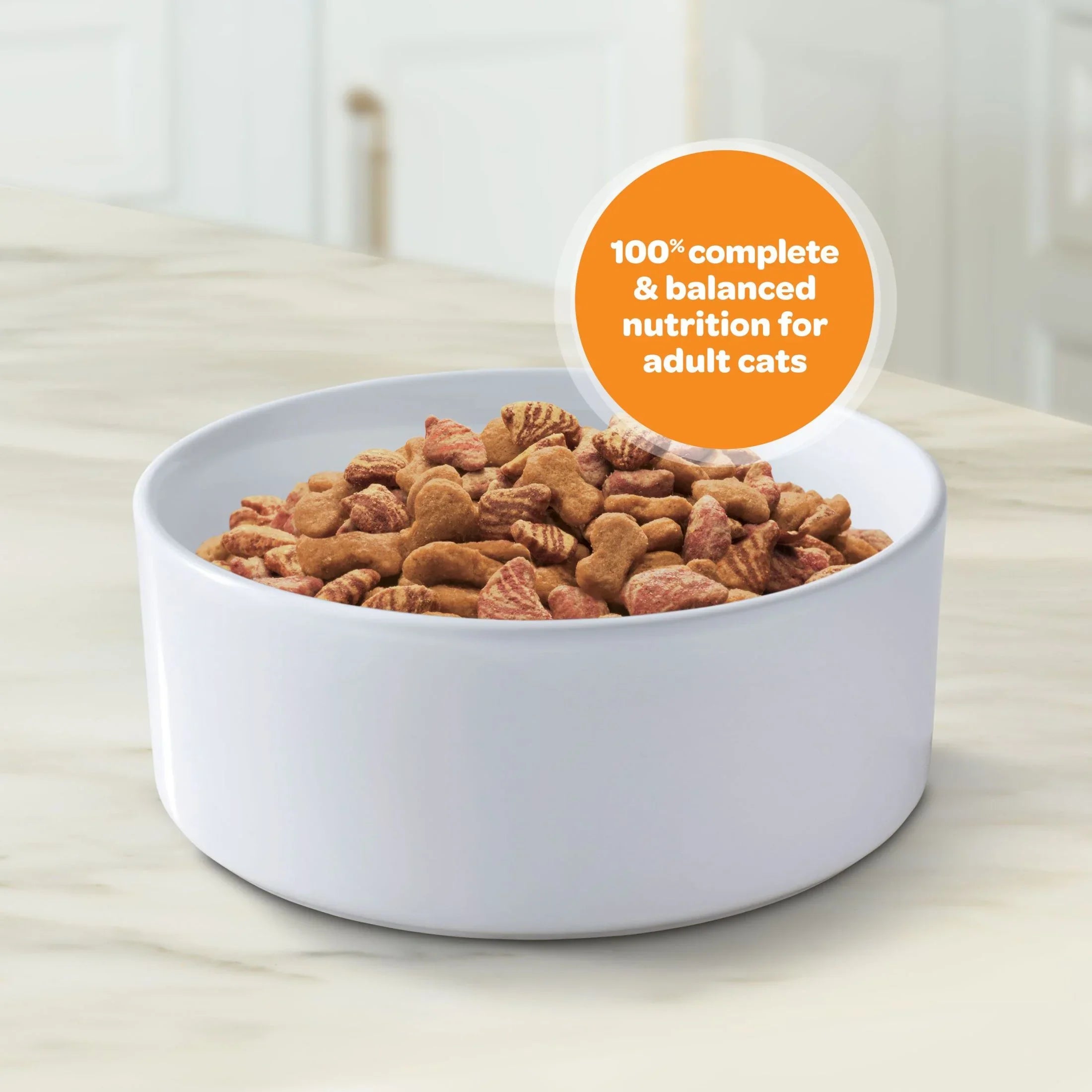 9Lives Daily Essentials Dry Cat Food