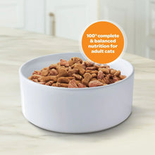 Dry cat kibble in white bowl with orange nutrition badge for adult cats