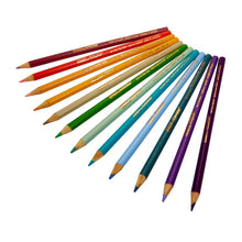 Twelve assorted colored pencils fanned together, natural wood tips and painted barrels