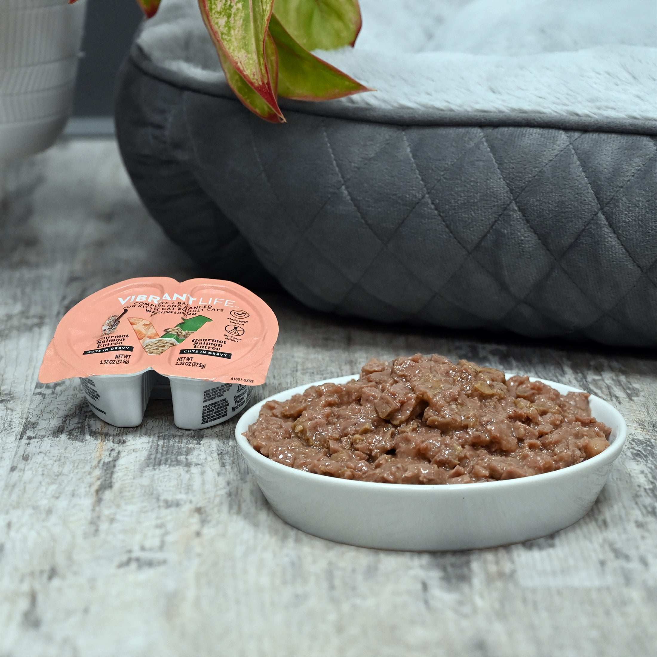 (6 pack) Vibrant Life Gourmet Salmon Entree Cuts in Gravy, Complete + Balanced, 2.64 oz Split Cup