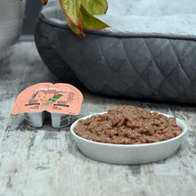 Vibrant Life salmon entree cat food cups with gravy, shown with serving dish
