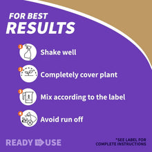 Best results steps for neem oil spray: shake well, cover plant, mix by label, avoid run-off.