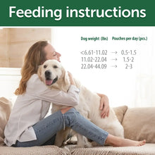 Wet dog being fed, with a bowl of dog food topper for adult dogs