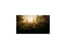 PlayStation 5 game screenshot: sunlit forest path through trees