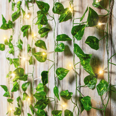 BrightSide LED Cascading Curtain Vine Indoor Lights, Warm White, 3.5ft W x 5ft H