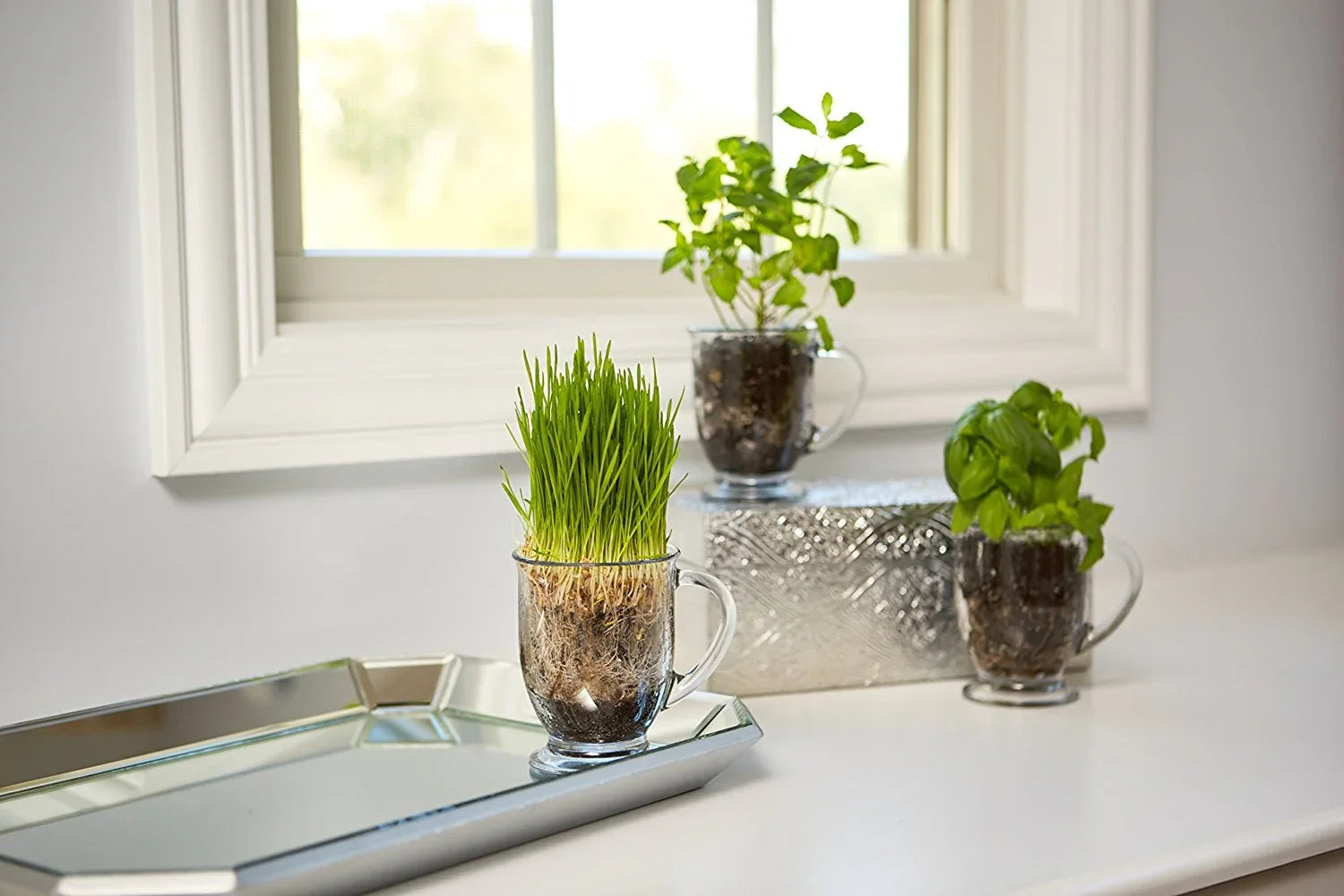 Anchor Hocking Clear Mug Set, 4 Piece