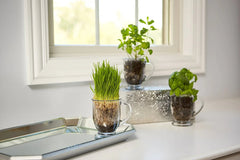 Anchor Hocking Clear Mug Set, 4 Piece
