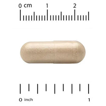 Methyl folate and B12 veggie capsule shown with size ruler
