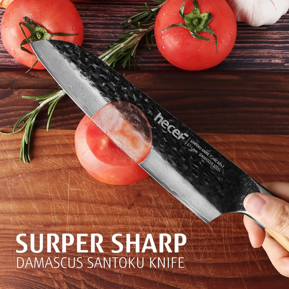 Hecef Japanese Chef Knife, Forged 67-Layer Damascus Steel Ultra Sharp Professional Hammered Carving Knife - USA MEGA SHOP