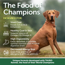 Grain-free salmon dry dog food promotional panel with seated dog and benefit icons