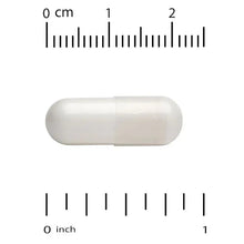 White vegetable capsule with measurement scale shown in centimeters and inches