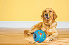Blue wobble dog ball treat toy with golden retriever playing indoors